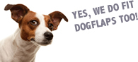 dogflap fiting in corby